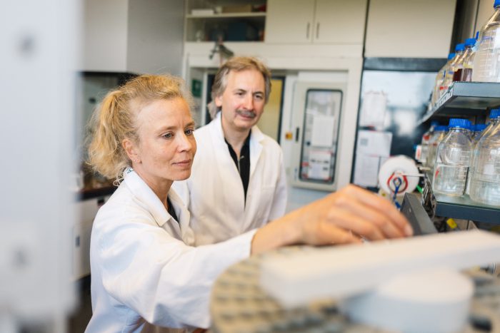 Biotechnologie: Künstliche Enzyme aus DNA statt Eiweiß.