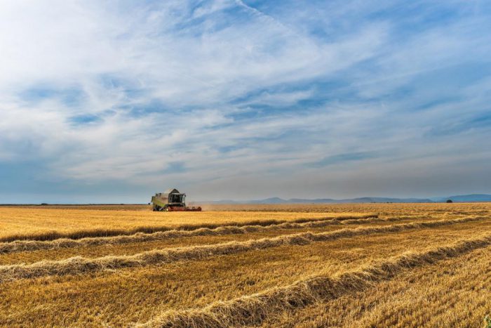 Anhaltende Hitze und Trockenheit: Billigkeitsmaßnahmen für Landwirte möglich.