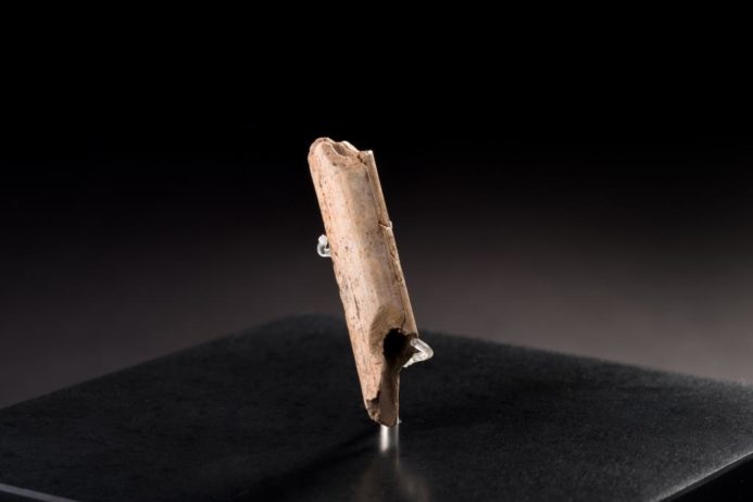 Rund 40.000 Jahre altes Fragment einer Knochenflöte gefunden