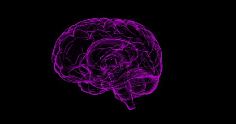 Neurowissenschaft: Brain Café - Wie ein Zombie-Gehirn funktioniert