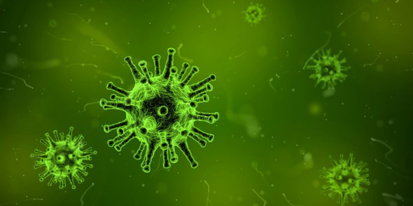 Virologie: Wie stabil das Hepatitis-B-Virus wirklich ist