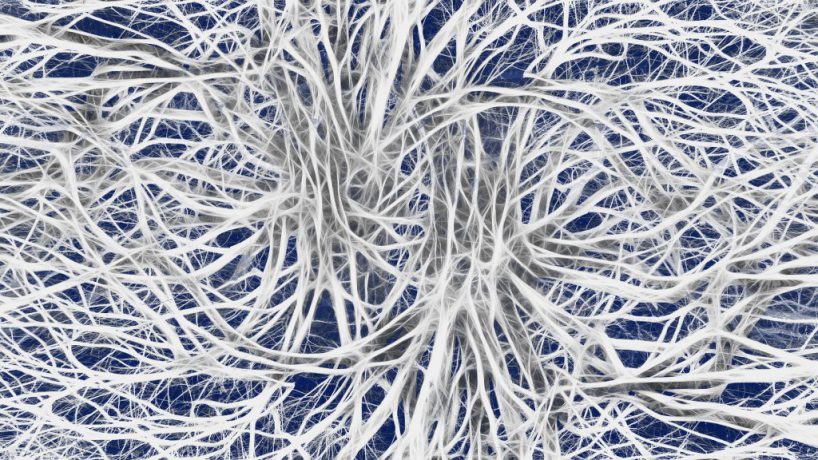 Schalter für die Regeneration von Nervenzell-Isolierschicht entdeckt