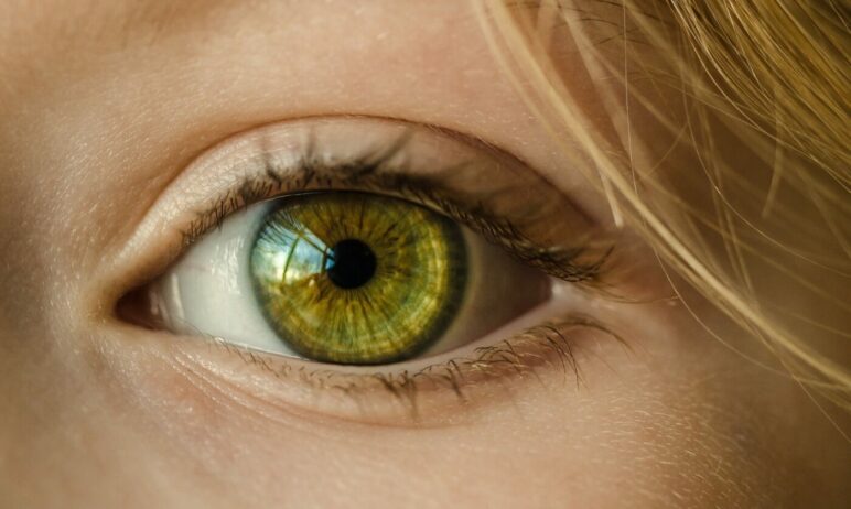 Eye-Tracking: Intensivpatienten sprechen mit den Augen